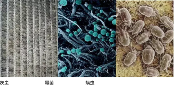 文章附圖